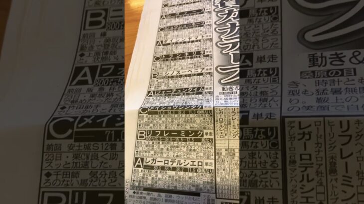 関屋記念　ボンドガール？　#競馬予想