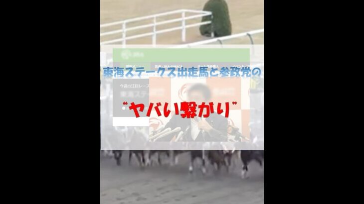 東海ステークス出走馬と参政党の“ヤバい繋がり”#競馬 #中京競馬 #東海ステークス #重賞予想 #競馬予想 #無料予想 #競馬好き #馬券 #馬券生活 #競馬情報 #競馬ファン #競馬ニュース