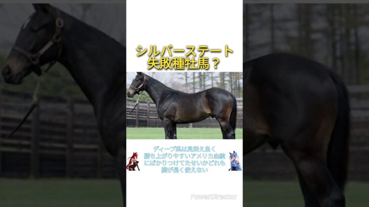 シルバーステートって失敗種牡馬？　#競馬