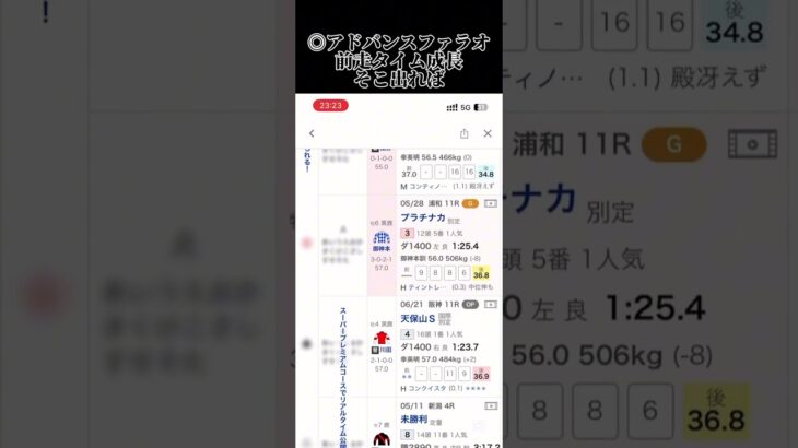 東海ステークスの予想です、夏に移行したこのレースは大荒れを要するか #競馬 #競馬予想 #中央競馬 #中央競馬予想 #中京競馬 #中京競馬場 #中京競馬予想 #東海ステークス
