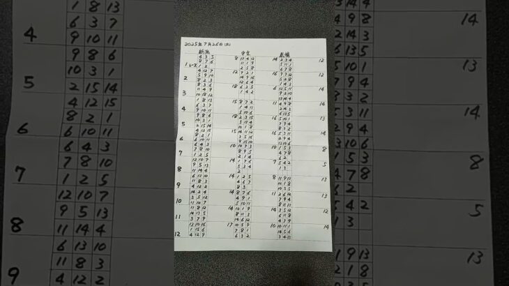 競馬予想新潟日報賞、関ヶ原ステークス