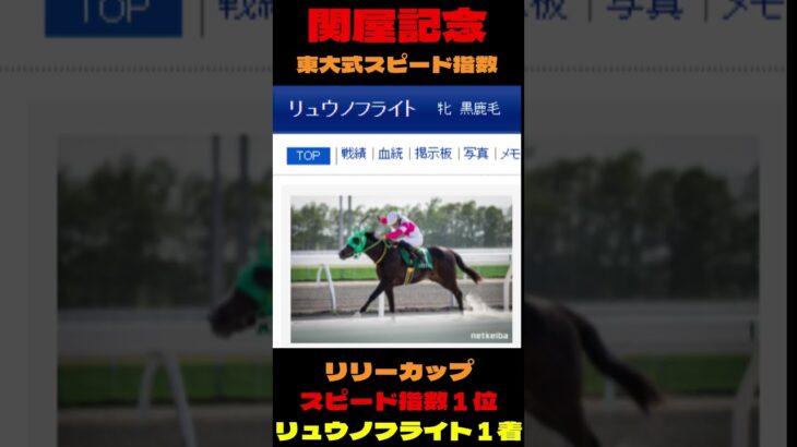 【関屋記念２０２５】東大式スピード指数による競馬予想