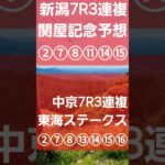 当たらない競馬予想です。どの馬が絡んで来るか見るだけでお願いします🙇 #中央競馬予想