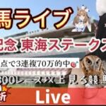 【競馬】全レース競馬予想  関屋記念 東海ステークス当てたい 走法分析【競馬競輪】