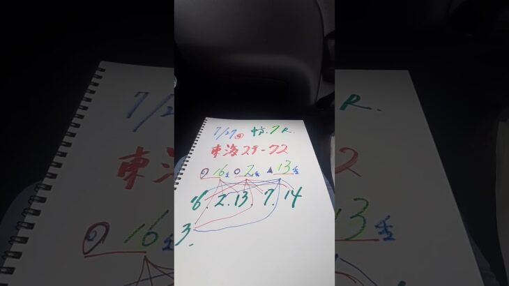 東海ステ－クス、一郎雄さん、絶対当たらない競馬予想ですね、よい－🙏🙏🙏😊