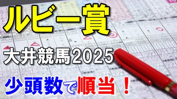 ルビー賞２０２５【大井競馬予想】少頭数でも好調馬が揃ったレース！？