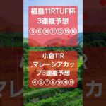 当たらない競馬予想です。今回は当たらないので見るだけでお願いします🙇