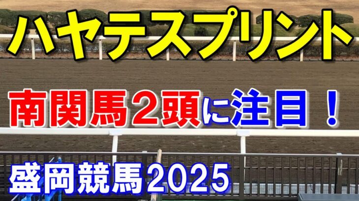 ハヤテスプリント２０２５【盛岡競馬予想】強い遠征馬が大挙参戦！？