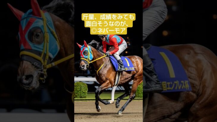 宣伝部員のスパーキングレディーカップ印#競馬#競馬予想#スパーキングレディーカップ#地方競馬#かわいいメモリアル