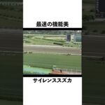 最速の機能美『サイレンススズカ』#サイレンススズカ #競馬 #中央競馬 #中央競馬予想 #競馬予想 #感動#競馬好きな人と繋がりたい