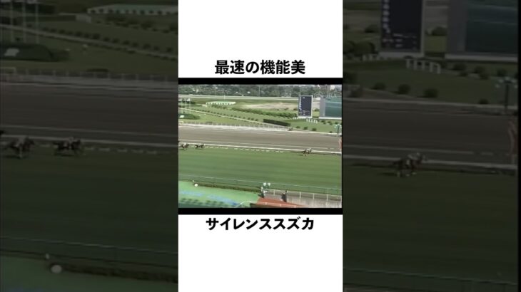 最速の機能美『サイレンススズカ』#サイレンススズカ #競馬 #中央競馬 #中央競馬予想 #競馬予想 #感動#競馬好きな人と繋がりたい