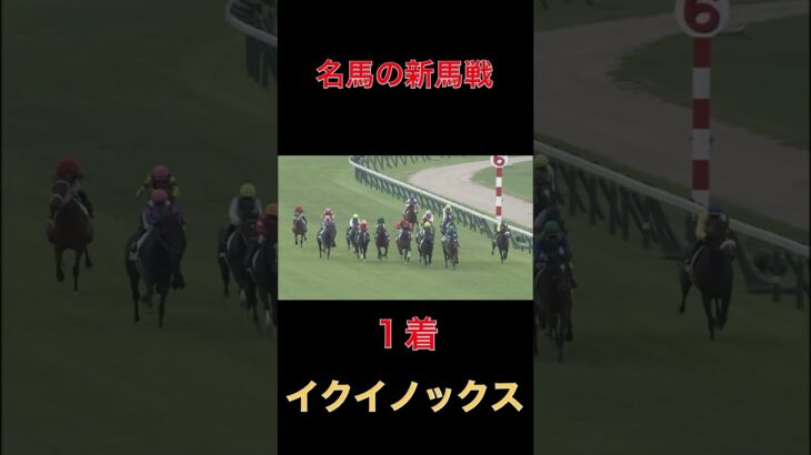 名馬の新馬戦【イクイノックス】#競馬#予想#馬券