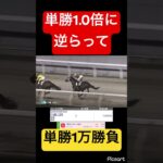 【衝撃】単勝1.0倍に逆らって勝負した結果… #競馬 #競馬予想