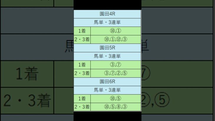 2025 08 15AI予想園田 #shorts