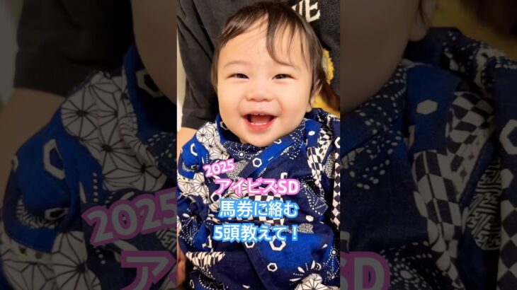 【2025 アイビスサマーダッシュ】の競馬予想をする赤ちゃん