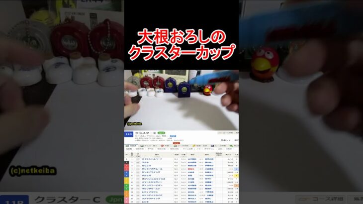 クラスターカップ2025！ここは自信の一点勝負ショート【競馬予想】 #大根おろし #競馬 #中央競馬予想