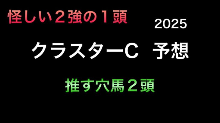 【競馬予想】　地方交流重賞　クラスターカップ　予想　2025