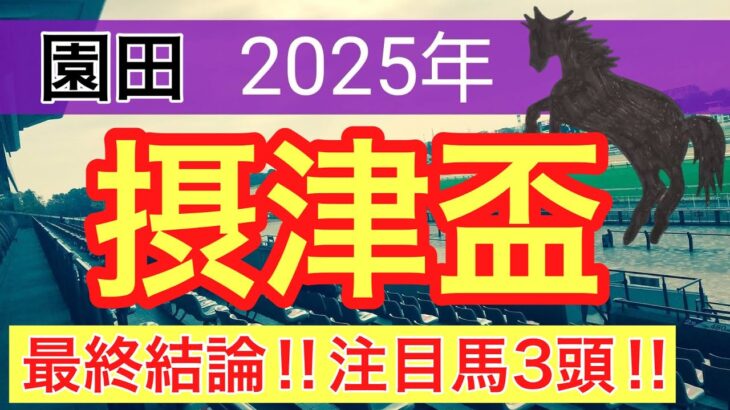 【摂津盃2025】蓮の地方競馬予想(最終結論)