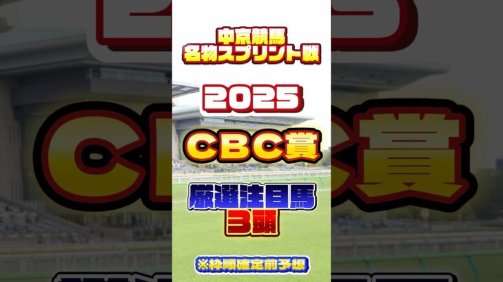 2025 CBC賞 #競馬 #競馬予想