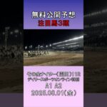 20250801　園田競馬　11R　デイリースポーツオンライン特別　無料公開予想　#競馬 #競馬予想  #地方競馬