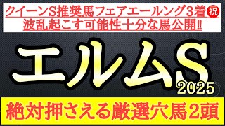 【エルムステークス2025】厳選穴馬予想！前走納得の敗戦理由があって今回想定される展開から激走の可能性秘める2頭公開！
