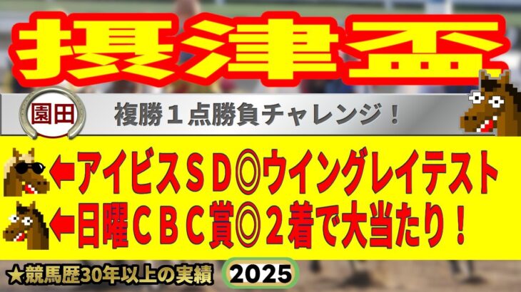 摂津盃2025競馬予想🔥9連続G1的中男の本命馬は！？