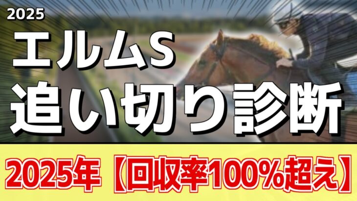 追い切り徹底解説！【エルムステークス2025】ロードクロンヌ、ドゥラエレーデなどの状態はどうか？調教S評価は2頭！