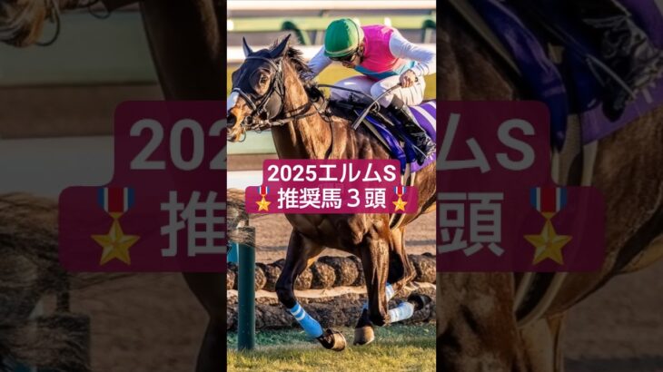 2025年エルムSD注目馬3頭🤓#競馬 #競馬予想 #エルムステークス #万馬券#札幌競馬場