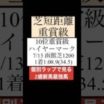 【新馬】6月・7月ランキング #競馬 #競馬予想 #ハイヤーマーク #新馬