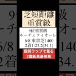 【新馬】6月・7月ランキング #競馬 #競馬予想 #ルーチェフィオーレ #新馬