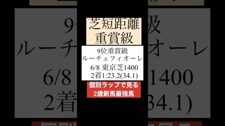 【新馬】6月・7月ランキング #競馬 #競馬予想 #ルーチェフィオーレ #新馬