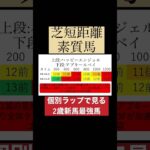 【新馬】6月・7月ランキング #競馬 #競馬予想 #ハッピーエンジェル #新馬