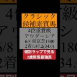 【新馬】6月・7月ランキング #競馬 #競馬予想 #アウダーシア #新馬