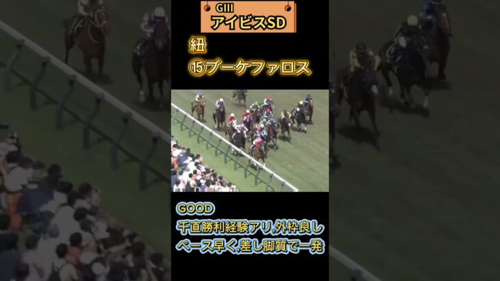 🌏日曜日,メイン,特別戦予想🌏全8レース#競馬予想 #競馬 #アイビスサマーダッシュ2025　#アイビスサマーダッシュ