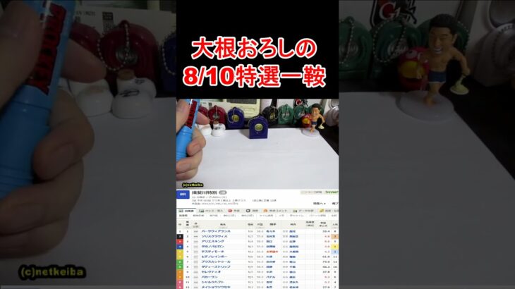 【競馬予想】8月10日の特選一鞍ショート【大根おろし】 #大根おろし #競馬 #中央競馬予想 #レパードステークス2025  #CBC賞2025