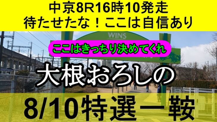 【競馬予想】8月10日の特選一鞍【大根おろし】