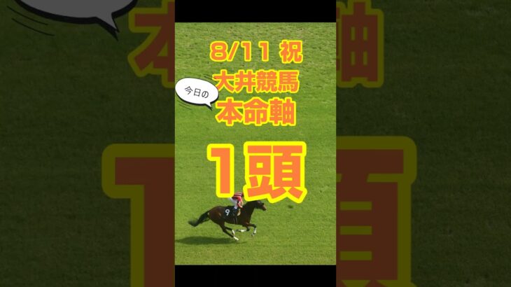 【今日の競馬予想】8月11日、山の日の大井競馬の本命予想  #競馬 #地方競馬予想 #競馬予想 #大井競馬