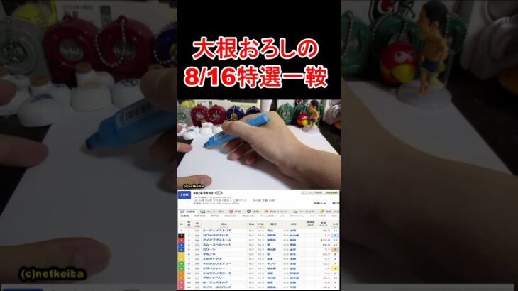 【競馬予想】8月16日の特選一鞍ショート【大根おろし】 #大根おろし #競馬 #中央競馬予想