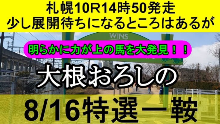 【競馬予想】8月16日の特選一鞍【大根おろし】