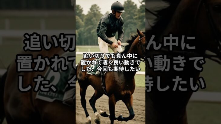 8月16日の新潟9R推奨馬 #競馬  #競馬予想