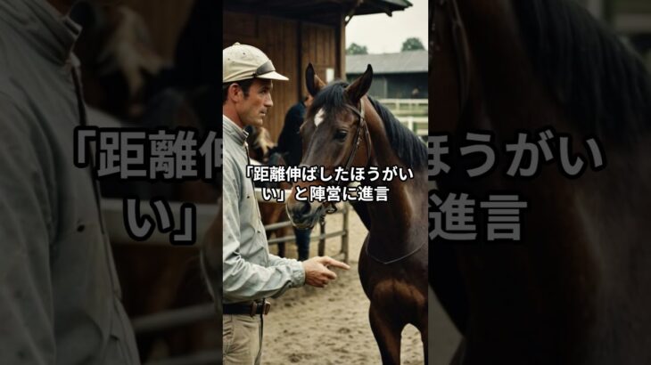 8月3日の新潟11R推奨馬 #競馬 #競馬予想