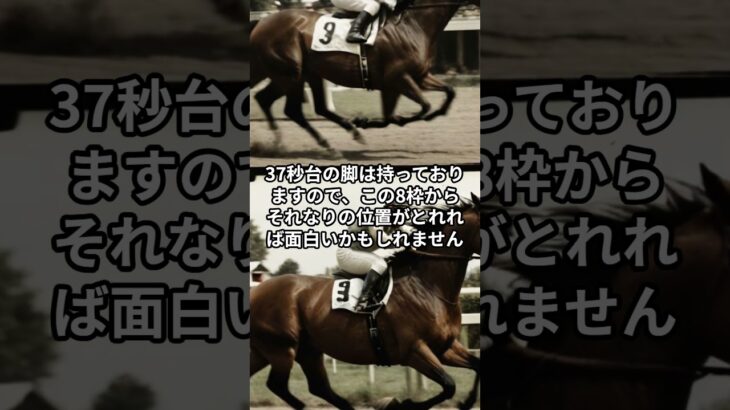 8月7日の園田1R推奨馬 #競馬 #園田競馬