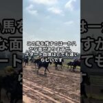 8月9日の札幌5R推奨馬 #競馬 #競馬予想