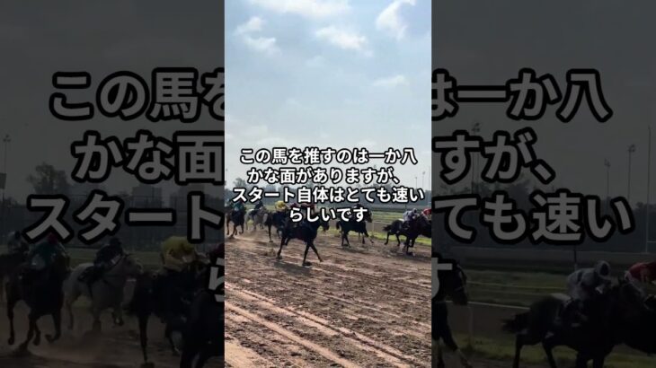 8月9日の札幌5R推奨馬 #競馬 #競馬予想