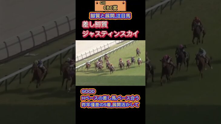 🐴[CBC賞]出走馬の脚質と展開🐴#競馬予想 #競馬 #CBC賞2025　#CBC賞