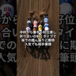 CBC賞最終予想　#shorts #競馬予想 #新潟競馬 #CBC賞