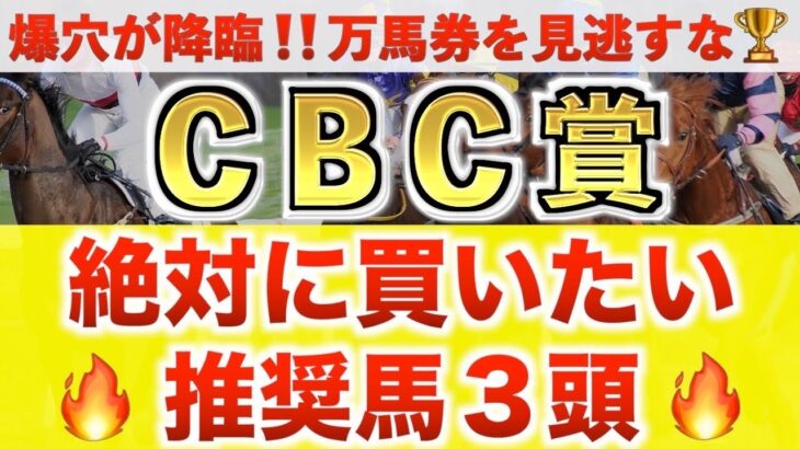 【CBC賞2025 予想】ベガリス過去最高のデキ？プロが”全頭診断”から導く絶好の3頭！