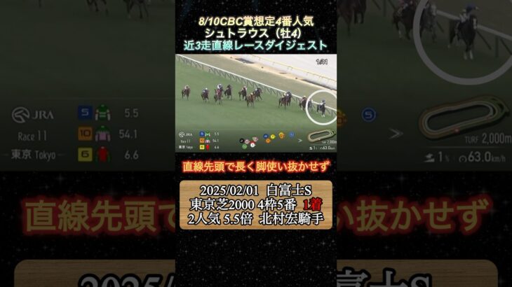 【シュトラウス】 CBC賞想定4番人気！近3走ダイジェスト  #競馬  #CBC賞  #シュトラウス  #shorts
