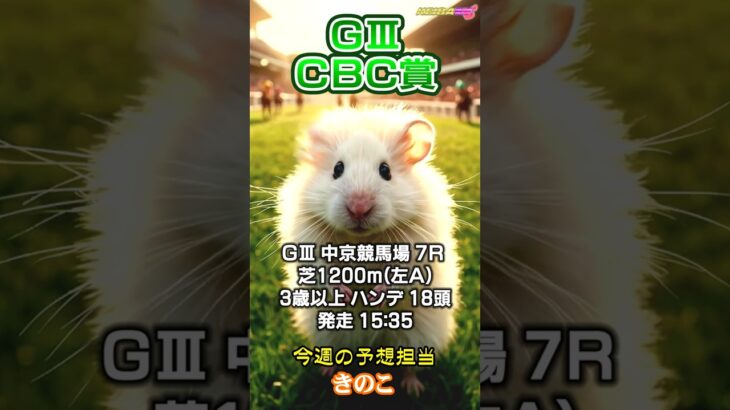 【競馬予想】ＧⅢ #CBC賞🏇AIねむリン🐹今回の予想担当はきのこ🍄推奨馬2頭で好配当的中🎯目指します👍《#競馬楽部💛（LOVE）》Vol.182 通算Vol.384