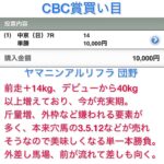 CBC賞・レパードS・UHB賞・摩周湖特別 予想 買い目 2025年